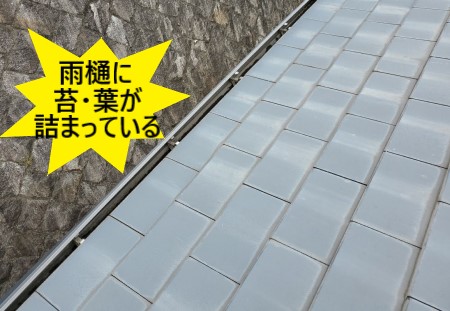 雨樋　苔　葉っぱ　詰まり