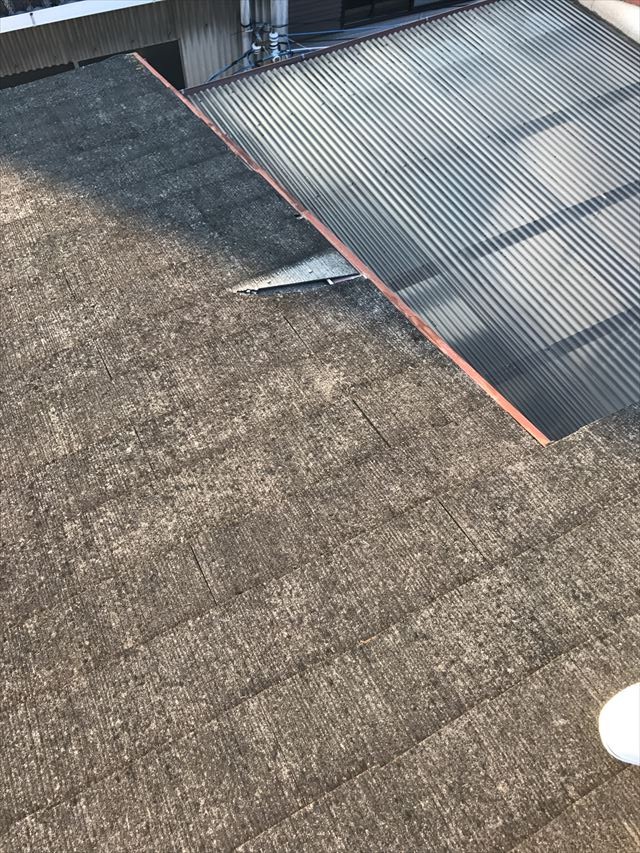 カラーベスト捲れ