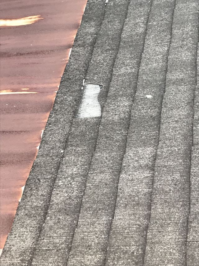 カラーベスト捲れ