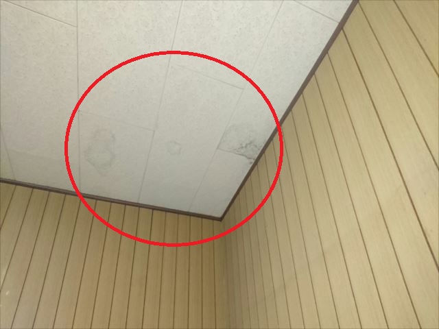 洋室　雨漏れ