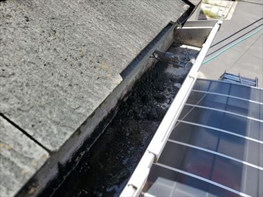 軒樋清掃前