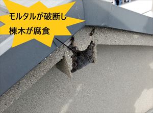 棟木　モルタル　破断