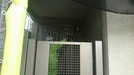 玄関廻り高圧水洗浄