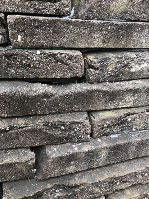 八尾　現地調査