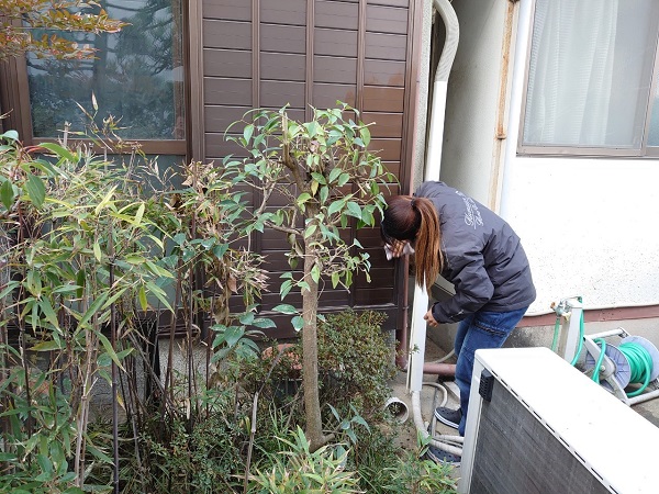 耐震改修工事　堺　清掃