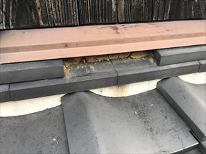 瓦ズレ　現地調査