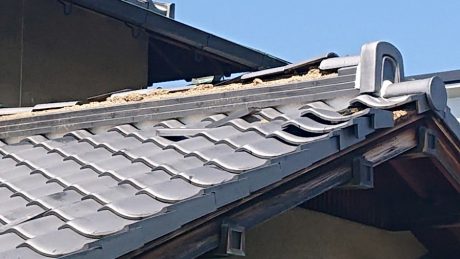 昨秋の2度の台風被害状況