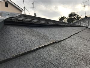 大屋根　現地調査