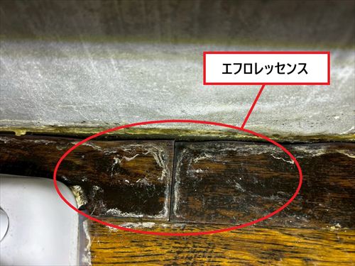 エフロレッセンス