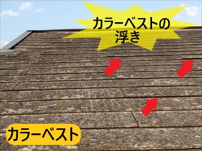 カラーベストの浮き