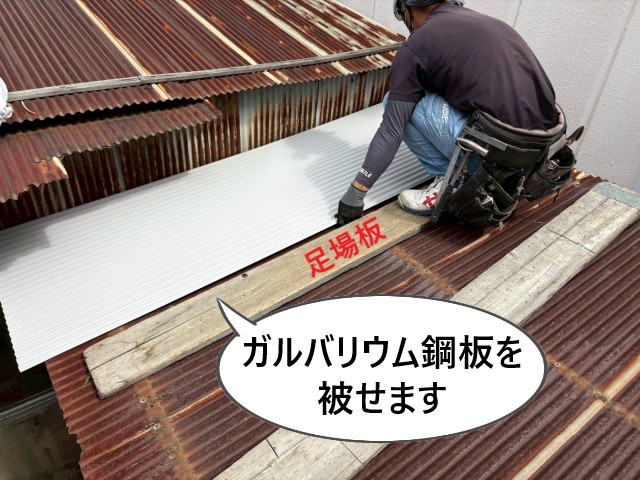 ガルバリウム鋼板を被せます