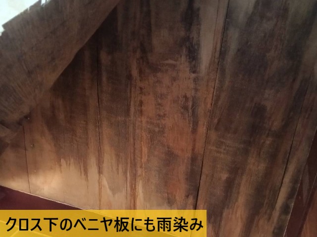 クロス下のベニヤ板にも雨染み
