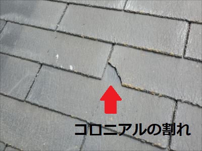 コロニアル割れ