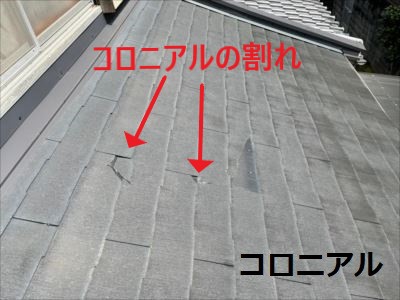 コロニアル割れ