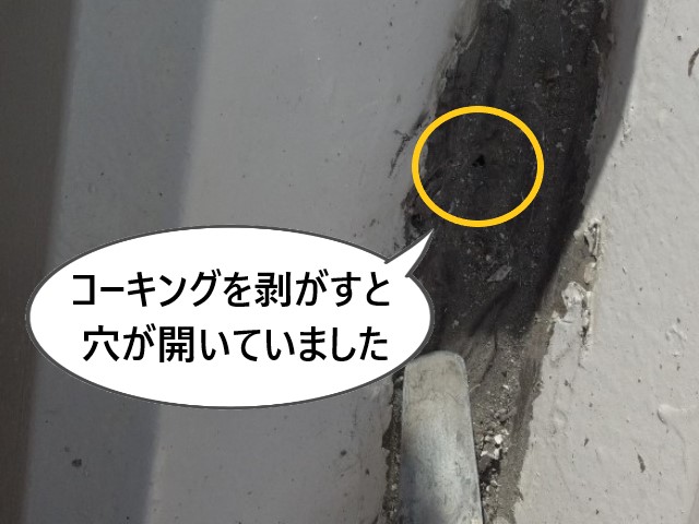 コーキングを剥がすと穴が開いていました