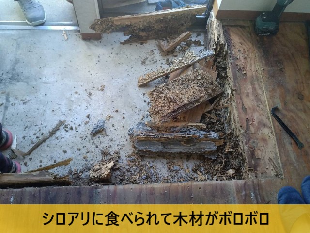 シロアリに食べられて木材がボロボロ