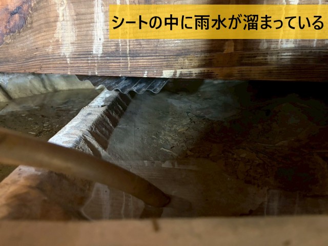 シートの中に雨水が溜まっている