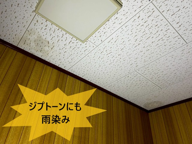 ジプトーンにも雨染み