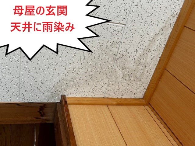 ジプトーンに雨染み