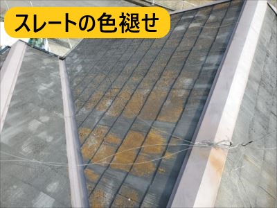スレートの色褪せ
