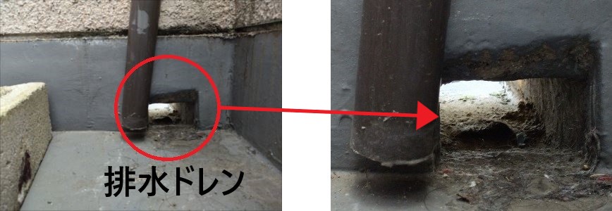 ドレン廻りの様子