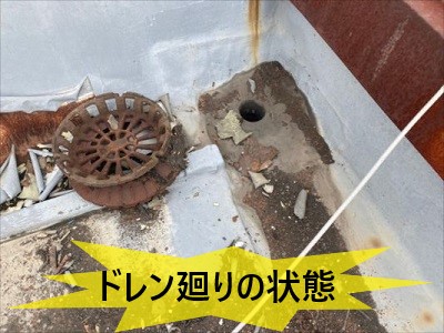 ドレン廻りの状態
