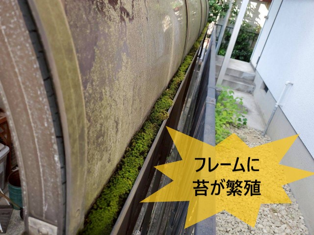 フレームに苔が繁殖