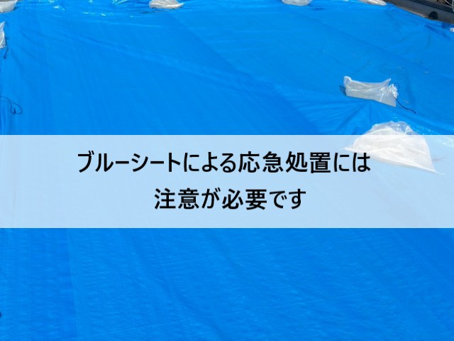 ブルーシート