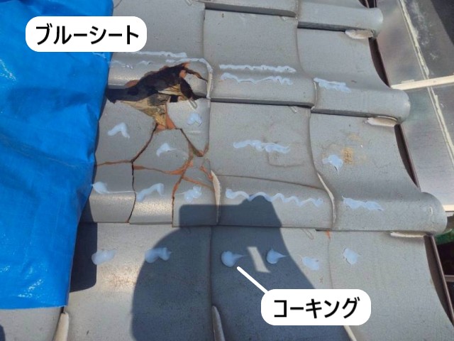 ブルーシートとコーキングで応急処置