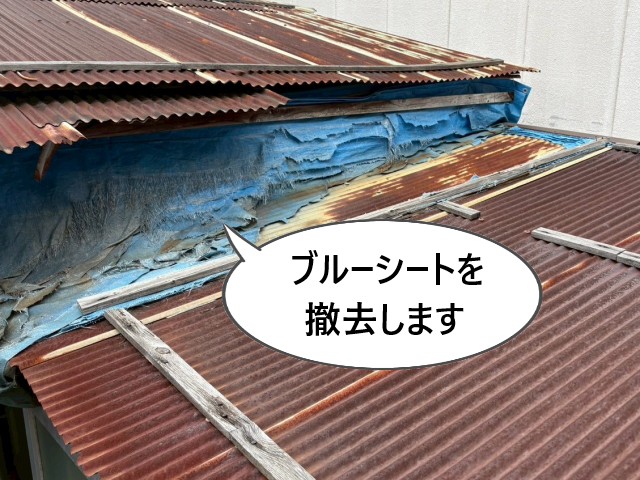 ブルーシートを撤去