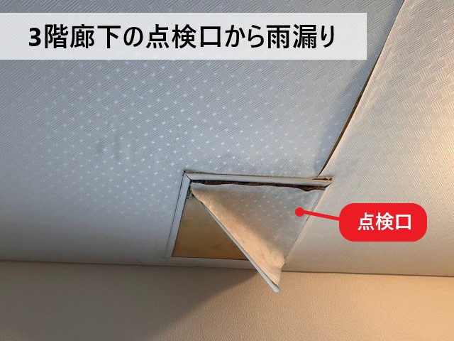 三階廊下の点検口から雨漏り