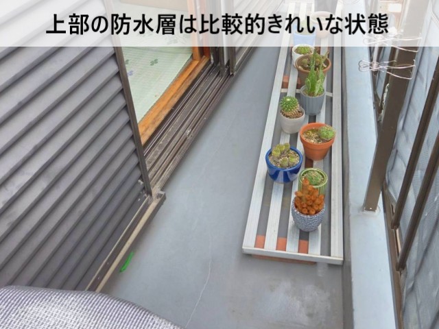 上部の防水層は比較的きれいな状態