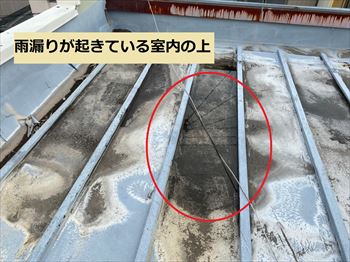 雨漏り箇所