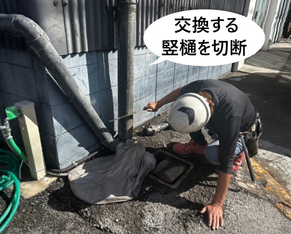 交換する竪樋を切断