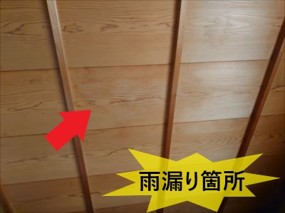 和室天井雨漏り箇所