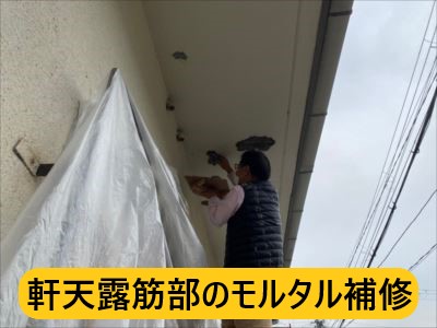 堺市 屋根修繕 施工事例 軒天モルタル補修