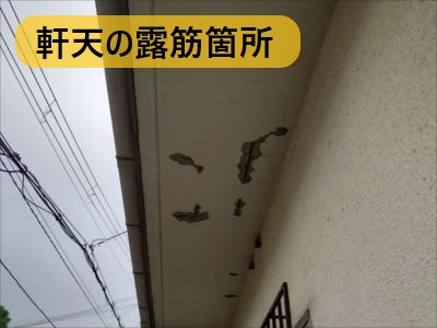 堺市 屋根修繕 軒天露筋箇所