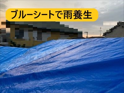 堺市 屋根葺き替え ブルーシートで雨養生