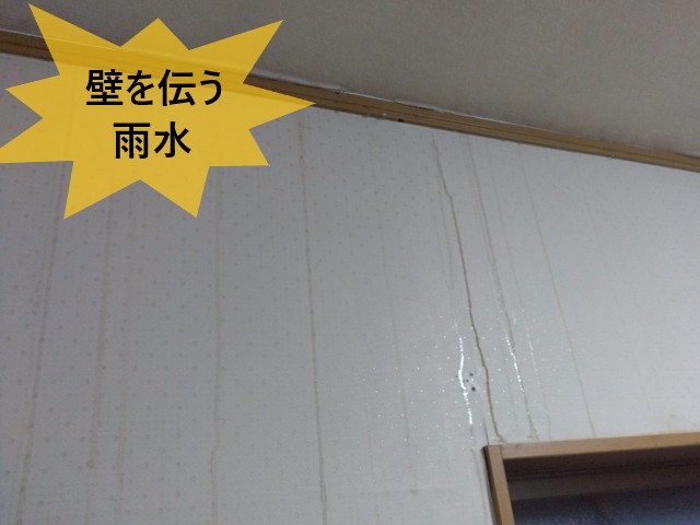 壁を伝う雨水