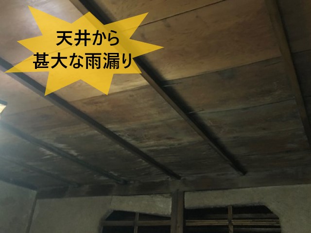 天井から甚大な雨漏り