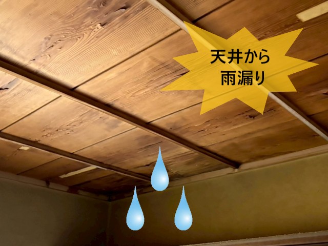 天井から雨漏り