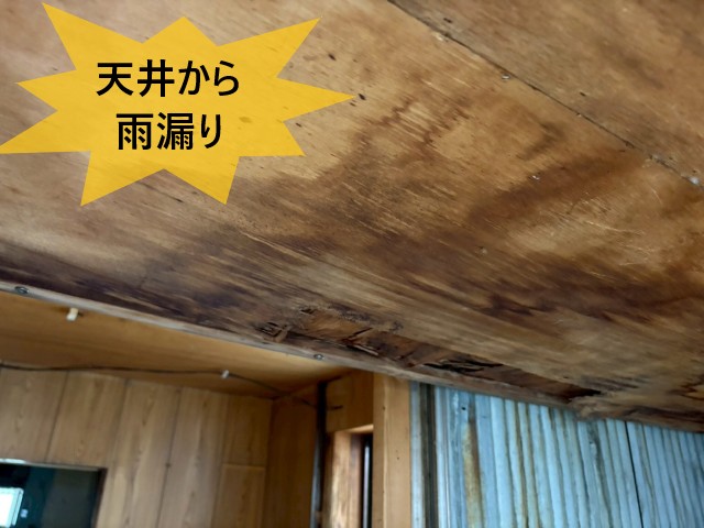 天井から雨漏り
