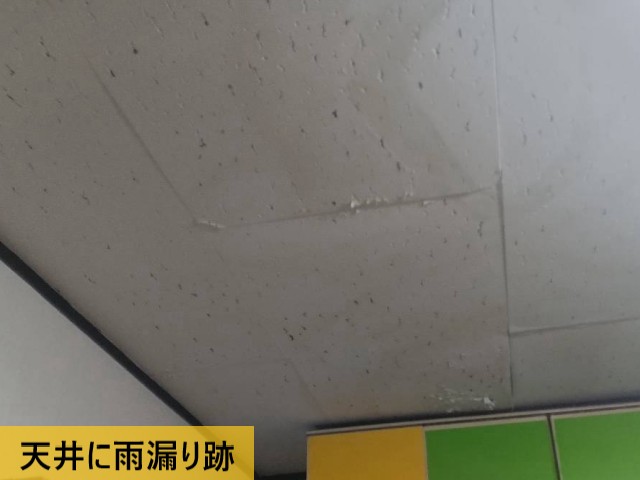 天井に雨漏り跡