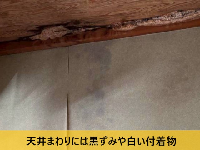 天井まわりには黒ずみや白い付着物