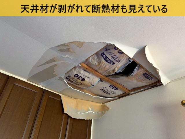 天井材が剥がれて断熱材も見えている