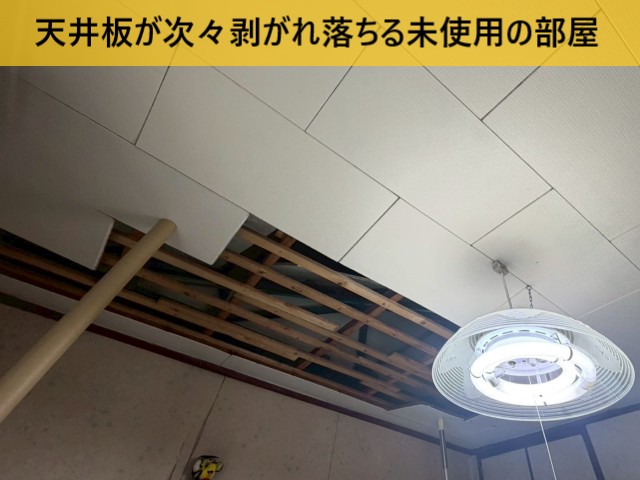 お客様の写真