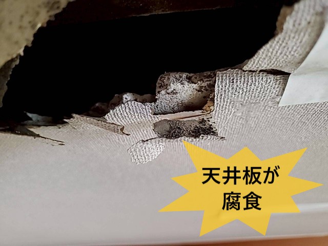 天井板が腐食