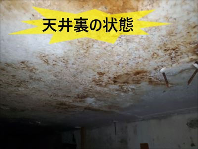 天井裏の状態
