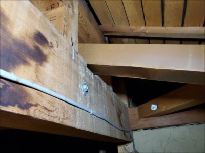 天井裏の状態②