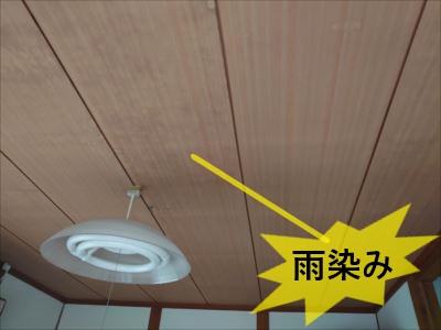 天井雨染み